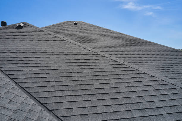 Best Roof Maintenance and Cleaning  in Adelphi, MD